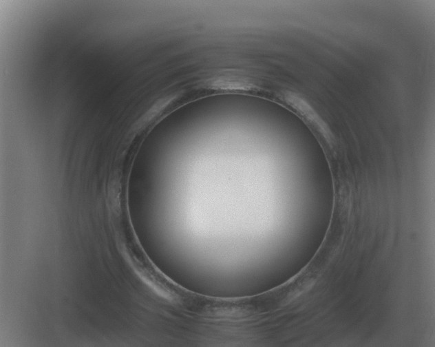 X0000083000533200702081903