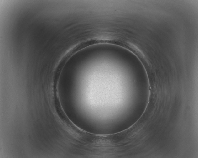 X0000083000535200702081903