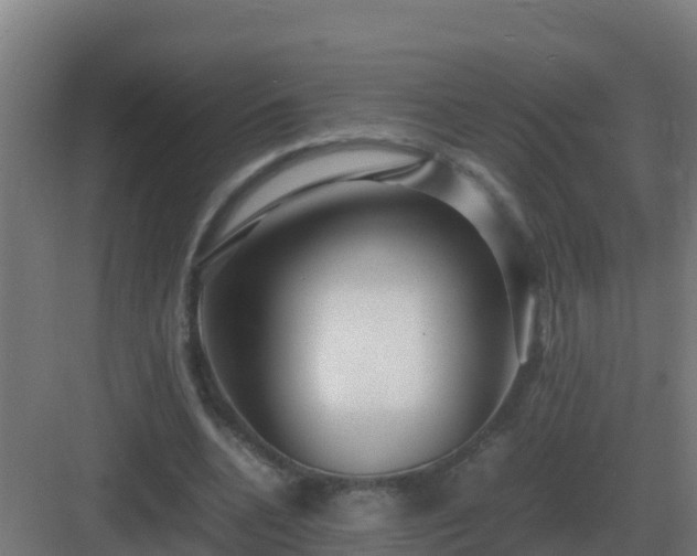 X0000083000536200702081903