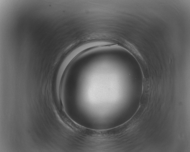 X0000083000538200702081903