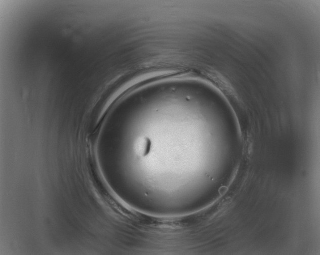 X0000083000542200702081903