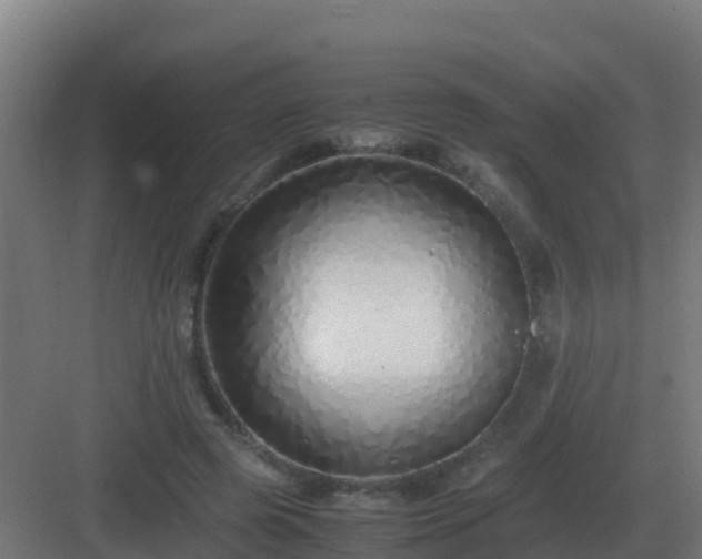 X0000083000545200702081903