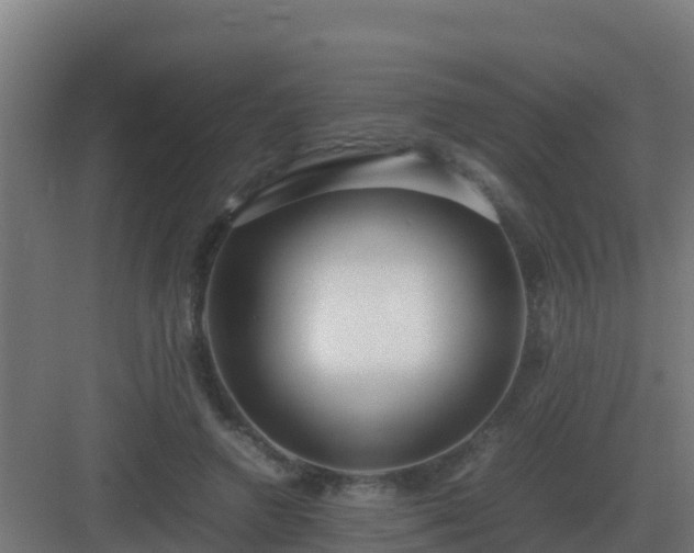 X0000083000546200702081903