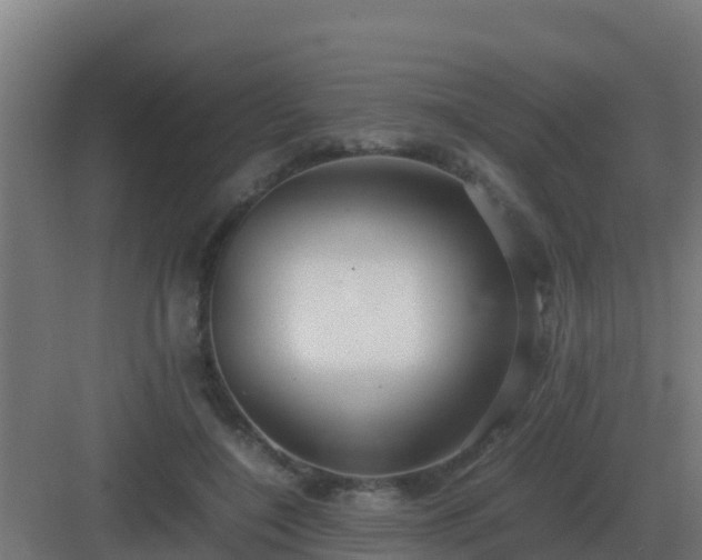 X0000083000548200702081903