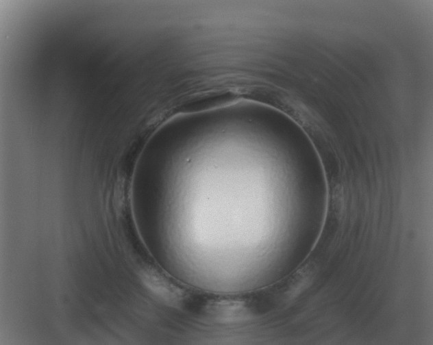 X0000083000554200702081903