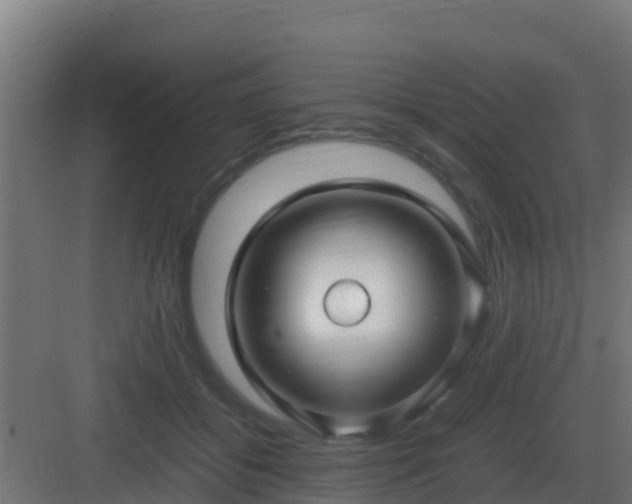 X0000083000556200702081903