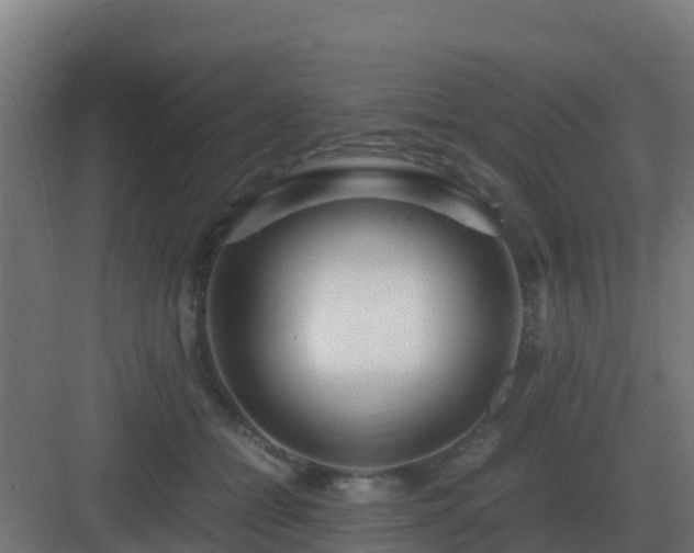 X0000083000558200702081903