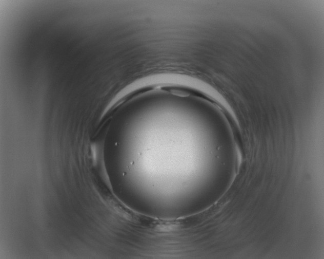 X0000083000560200702081903