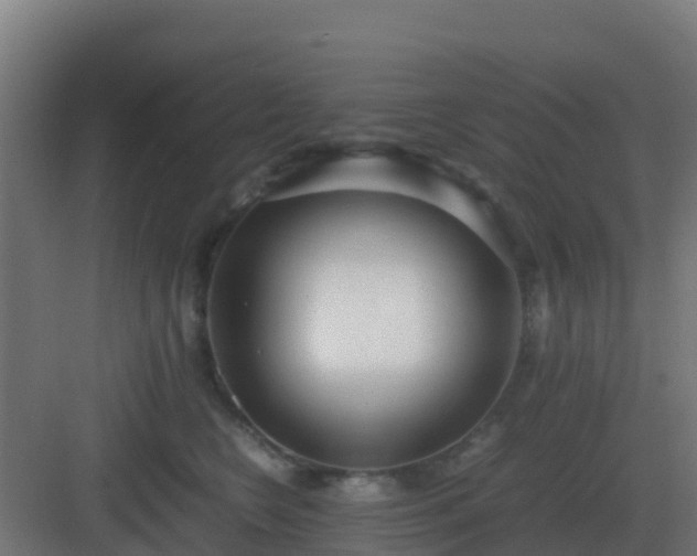 X0000083000566200702081903