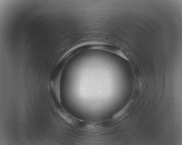 X0000083000568200702081903