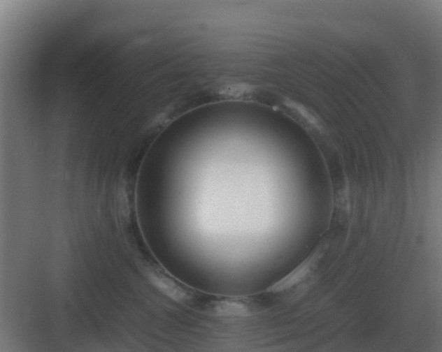 X0000083000572200702081903