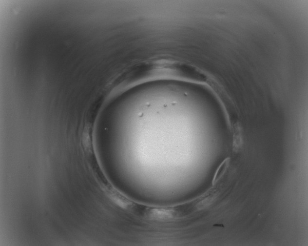 X0000083000573200702081903