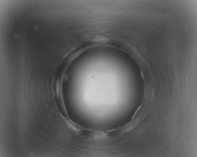 X0000083000576200702081903