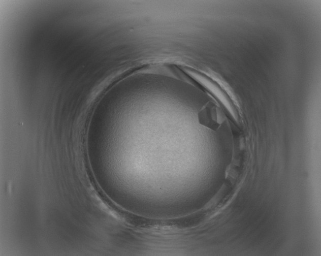 X0000083000577200702081903