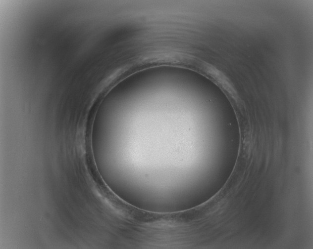 X0000083000578200702081903