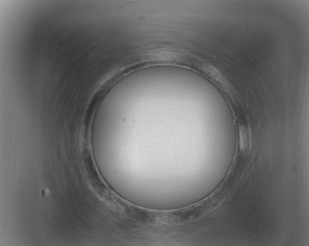 X0000083000579200702081903