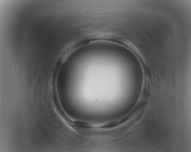 X0000083000581200702081903