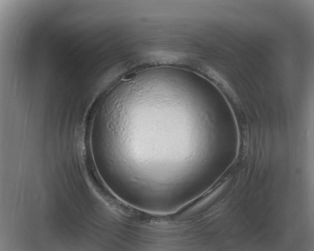 X0000083000582200702081903