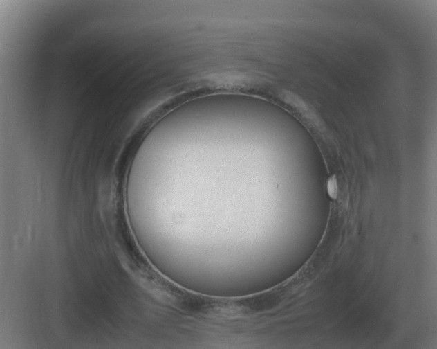 X0000083000583200702081903