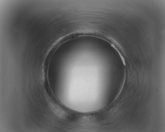 X0000083000584200702081903