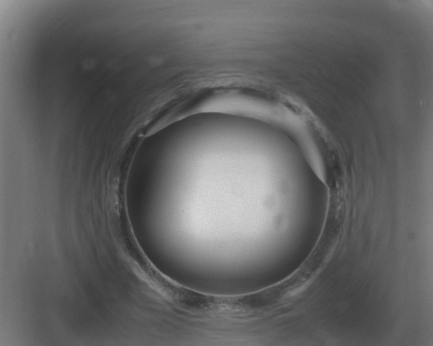 X0000083000585200702081902