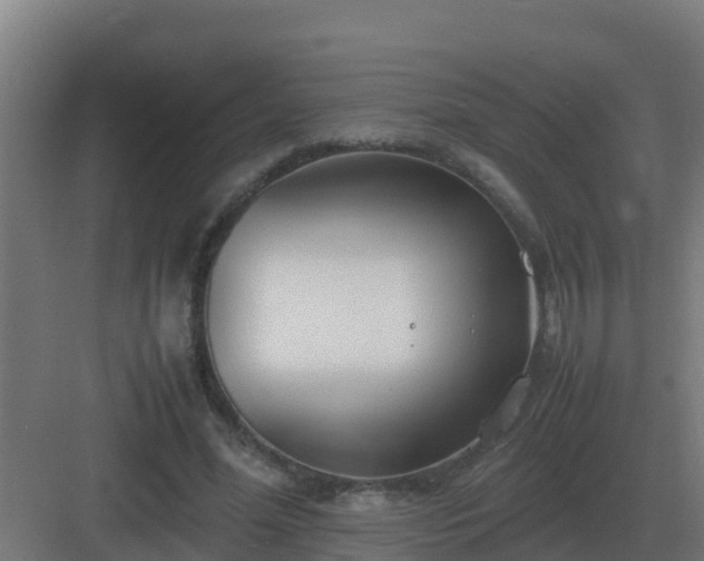 X0000083000588200702081902