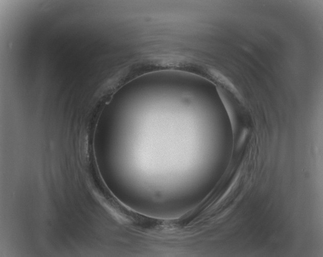 X0000083000589200702081902