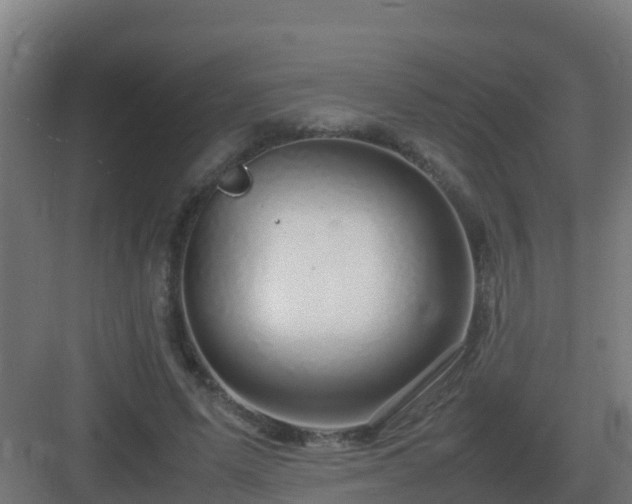 X0000083000591200702081902