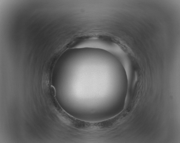 X0000083000593200702081902