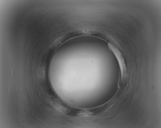 X0000083000595200702081902