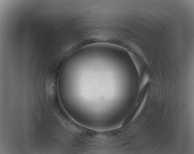 X0000083000596200702081902