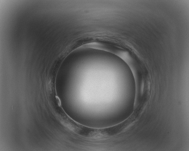 X0000083000597200702081902