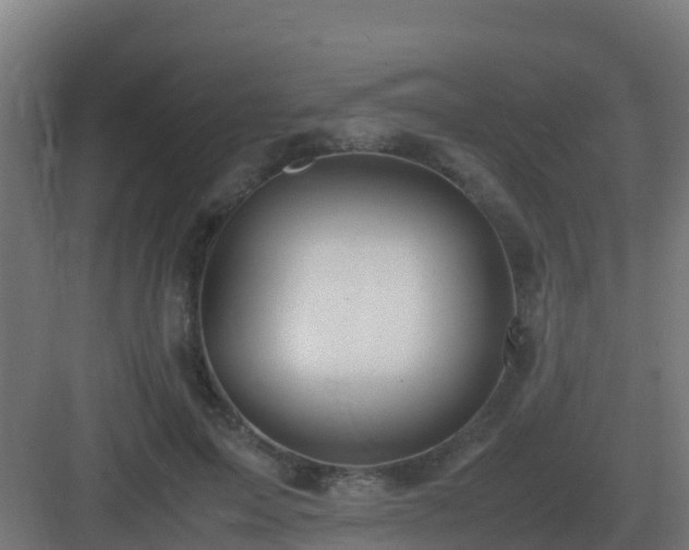 X0000083000599200702081902