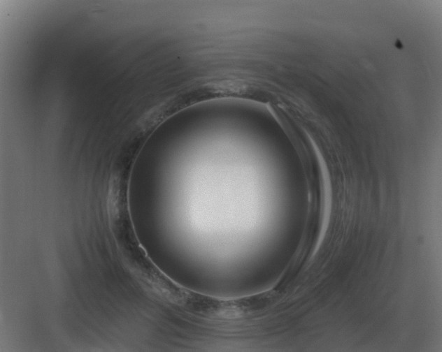 X0000083000600200702081902