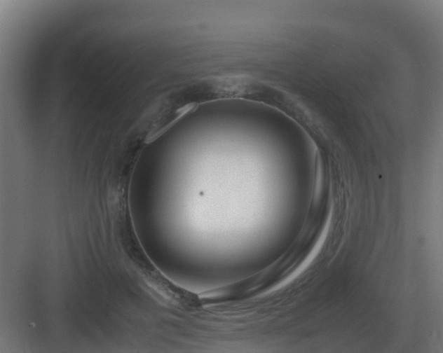 X0000083000601200702081902