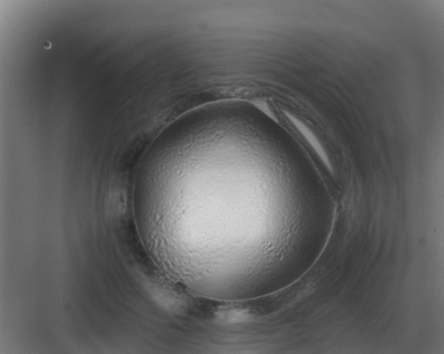 X0000083000602200702081902