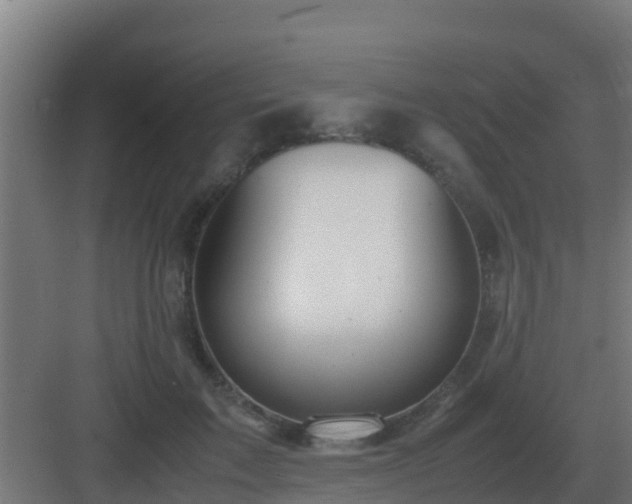 X0000083000603200702081902