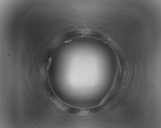 X0000083000609200702081902