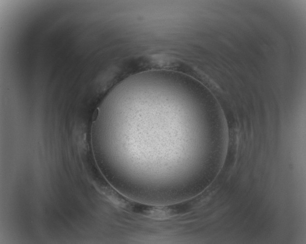 X0000083000615200702081902