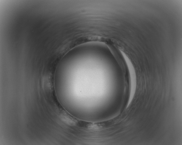 X0000083000616200702081902