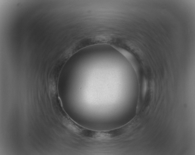 X0000083000617200702081902