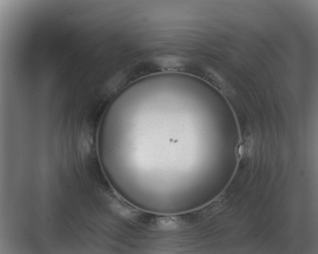 X0000083000618200702081902