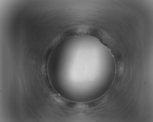 X0000083000619200702081902