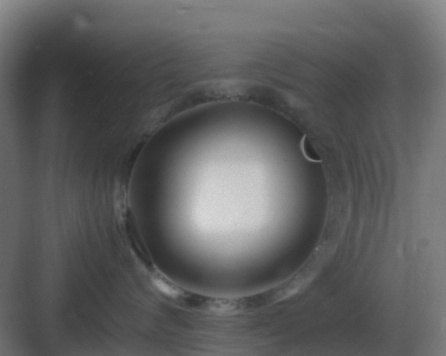 X0000083000624200702081902