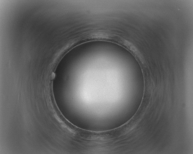 X0000083000625200702081901