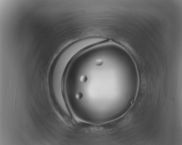 X0000083000626200702081901