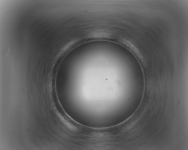 X0000083000629200702081901