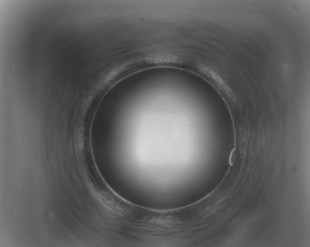 X0000083000631200702081901