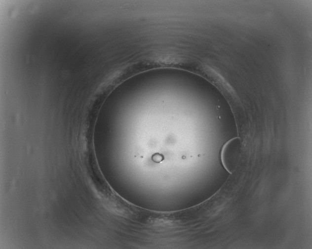 X0000083000635200702081901