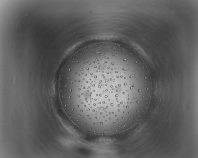 X0000083000636200702081901